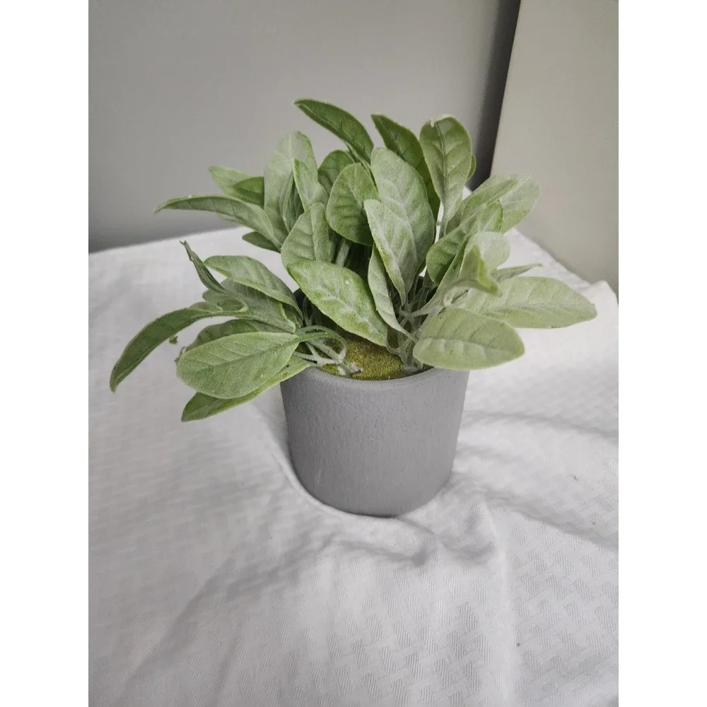 Small Artificial Lambs Ear Faux Plant in Gray Stone Finish Pot Home Decor Accent